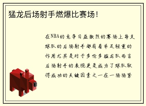猛龙后场射手燃爆比赛场！