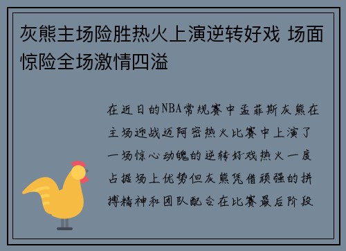 灰熊主场险胜热火上演逆转好戏 场面惊险全场激情四溢