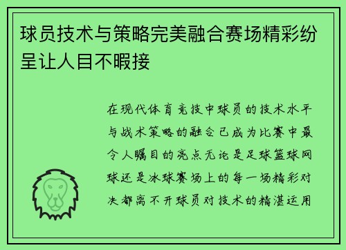 球员技术与策略完美融合赛场精彩纷呈让人目不暇接
