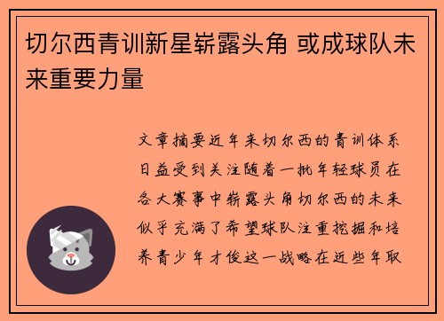 切尔西青训新星崭露头角 或成球队未来重要力量